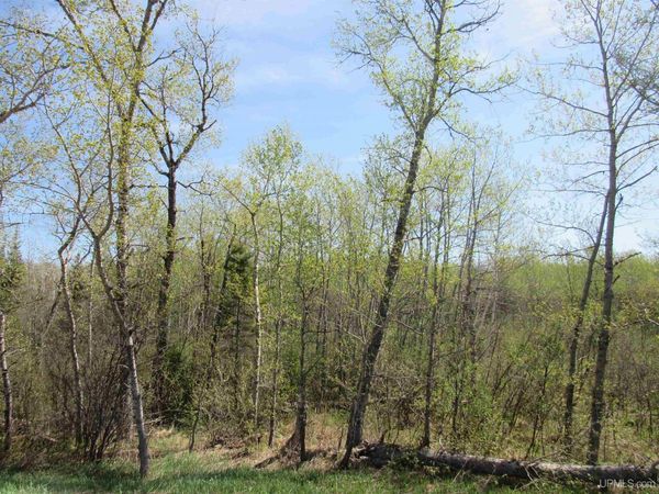 TBD US 141 Road, Hematite Twp, MI 49903