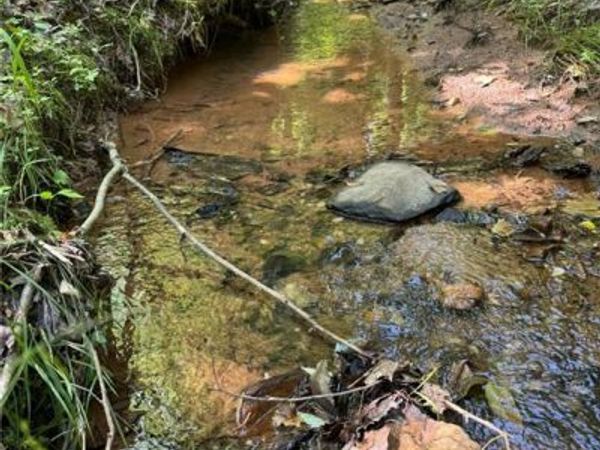 Lot 54 Billings Hill Church Road, Traphill, NC 28683
