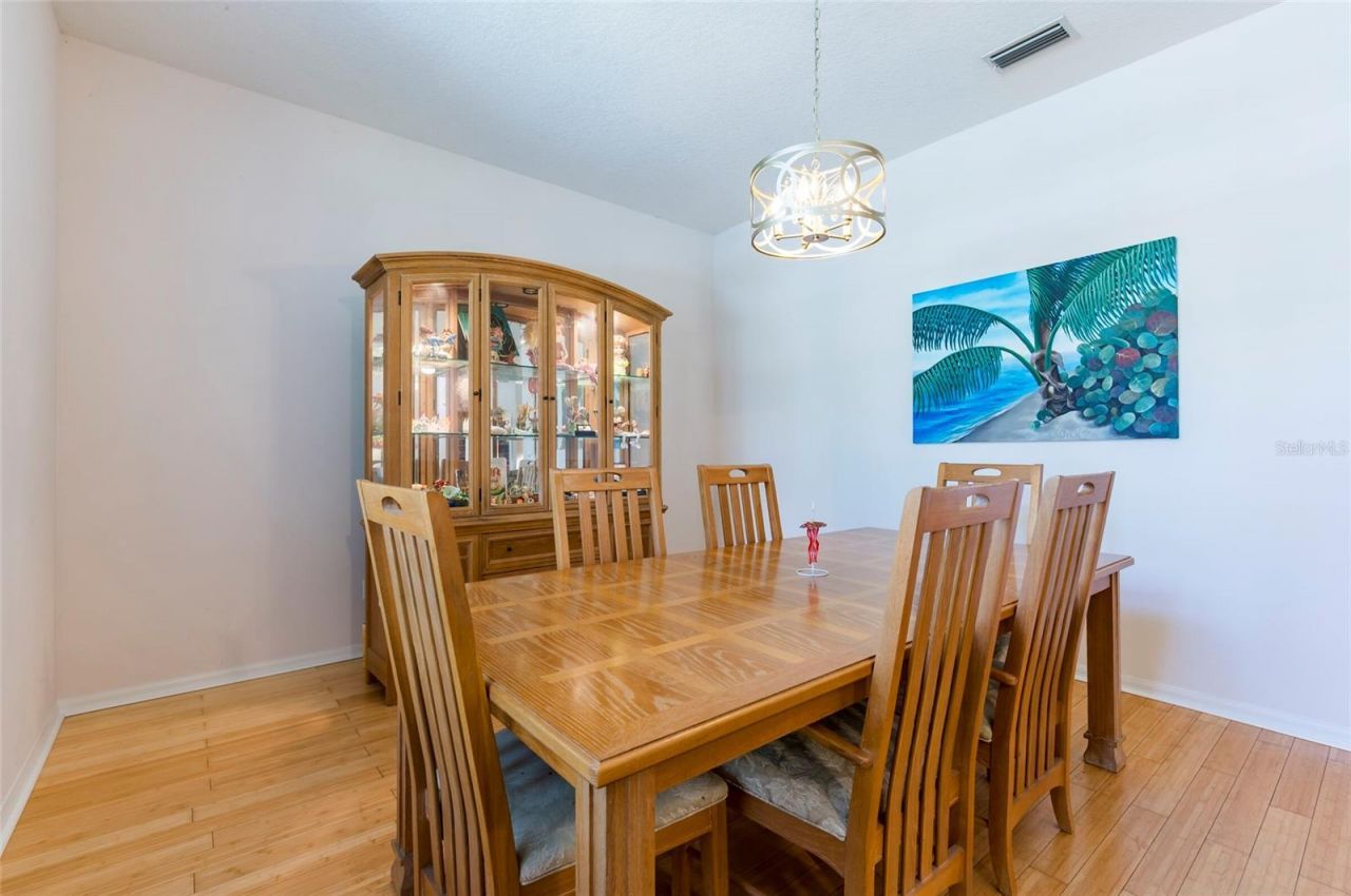 9908 Alafia River Lane, Gibsonton, FL 33534 Photo