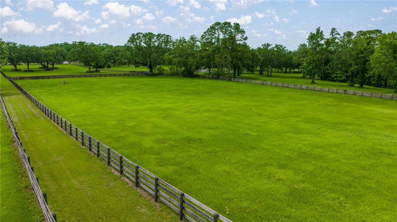 4209 NW 110th Avenue, Ocala, FL 34482 Photo