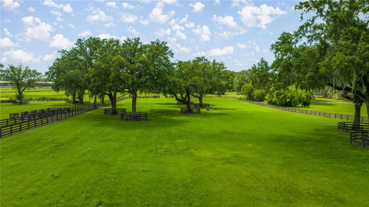 4209 NW 110th Avenue, Ocala, FL 34482 Photo