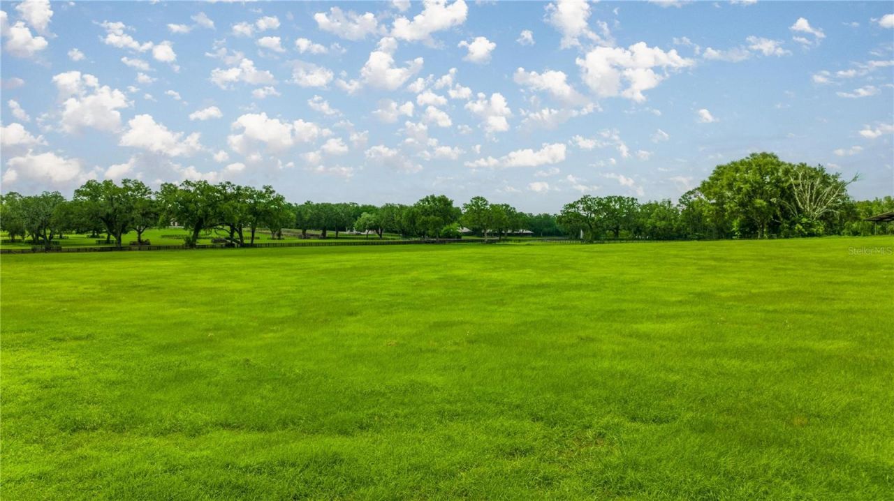 4209 NW 110th Avenue, Ocala, FL 34482 Photo