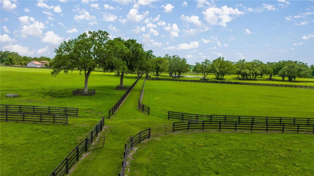 4209 NW 110th Avenue, Ocala, FL 34482 Photo