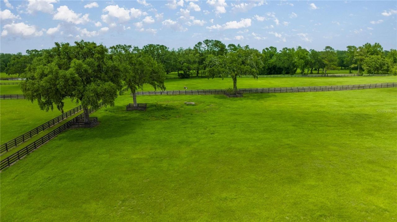 4209 NW 110th Avenue, Ocala, FL 34482 Photo