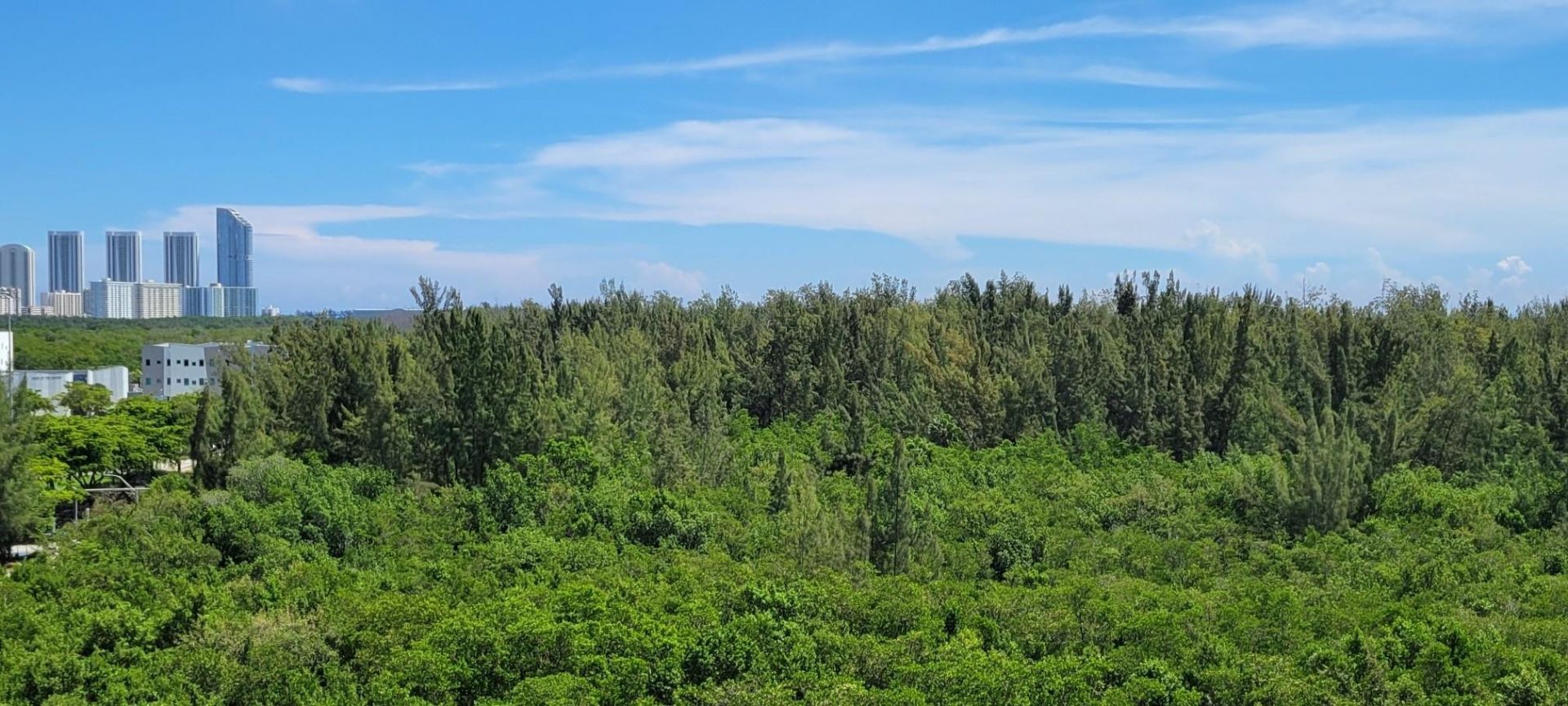 15051 Royal Oaks Lane, Unit 902, North Miami, FL 33181 Photo