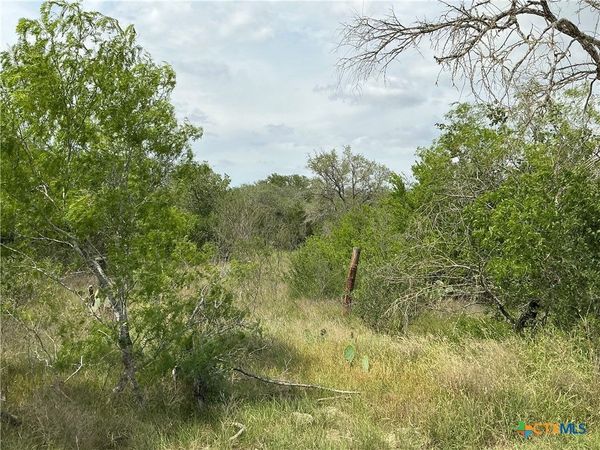 1066 Robertson Road , Smiley, TX 78159