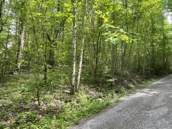 Lot 4 Walden Flats Way, Sevierville, TN 37862