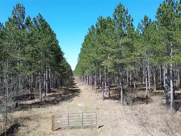 N/A Ellison Lake Road, Barnes, WI 54873