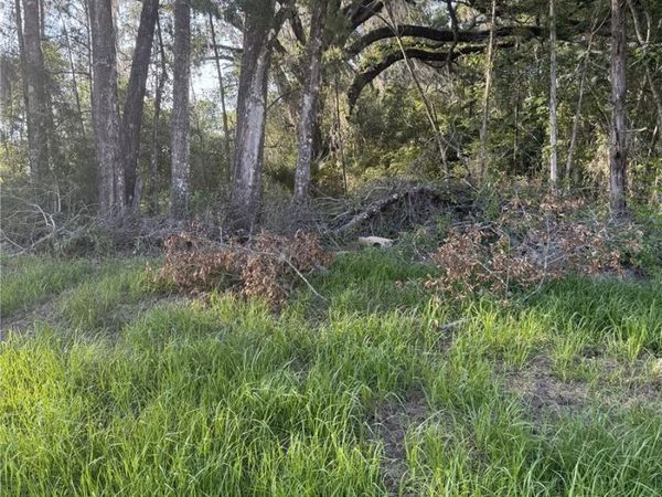 SW 50 TERRACE, GAINESVILLE, FL 32608