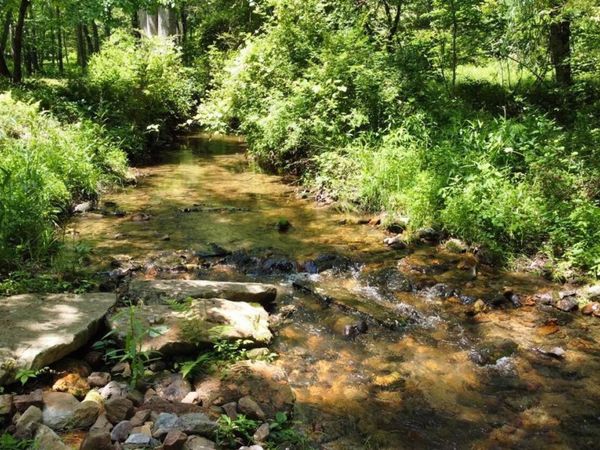 TRACT 1 Timber Ridge Road, Blairsville, GA 30512