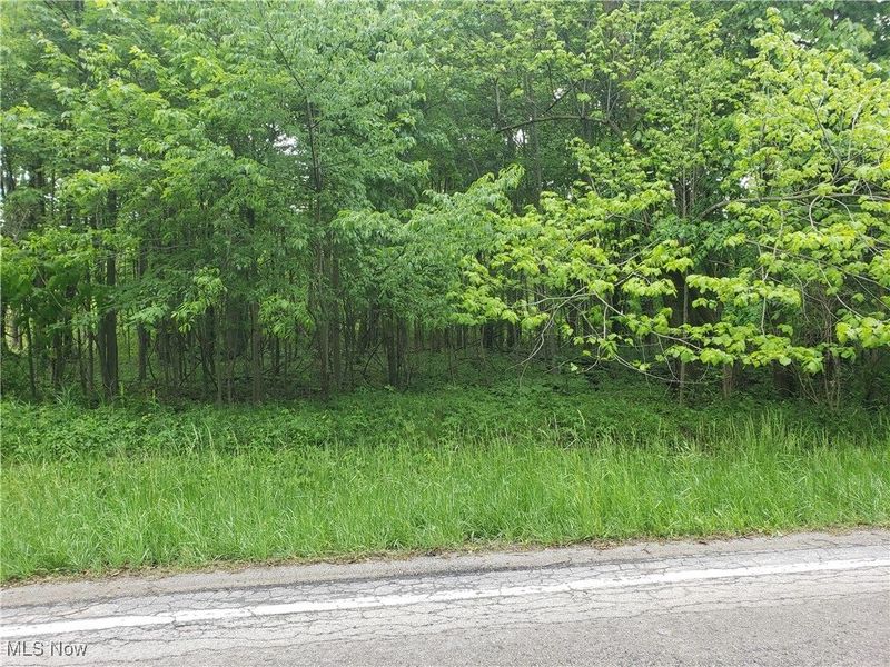 West Road, Wellington, OH 44090 Photo 1