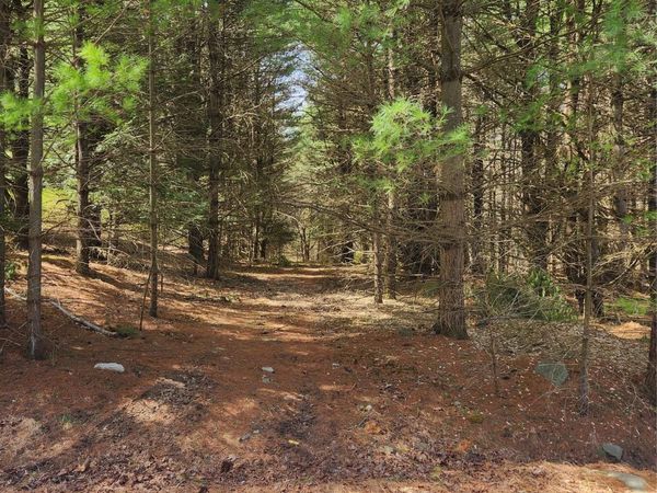 lot 45 4th Circle, Rock Hill, NY 12775