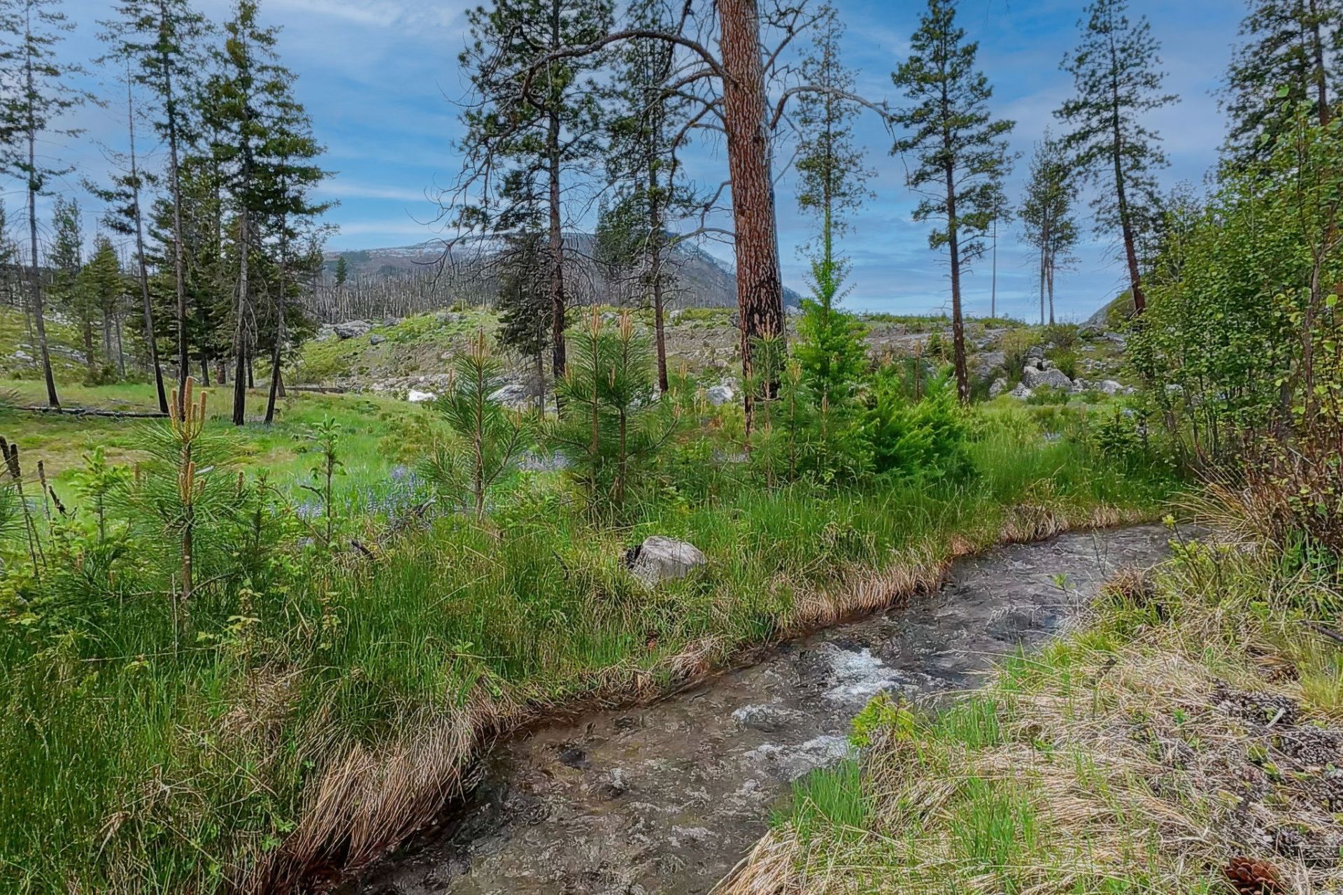 Lot 8 Roaring Lion Road, Hamilton, MT 59840 Main Photo