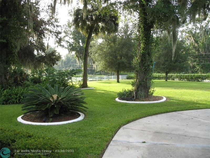 555 SW 87th Pl, Ocala, FL 34476 Photo