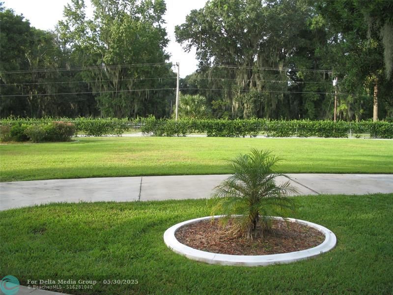 555 SW 87th Pl, Ocala, FL 34476 Photo