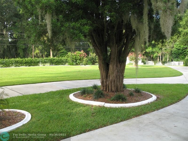 555 SW 87th Pl, Ocala, FL 34476 Photo