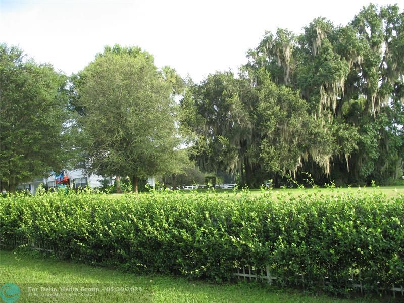 555 SW 87th Pl, Ocala, FL 34476 Photo