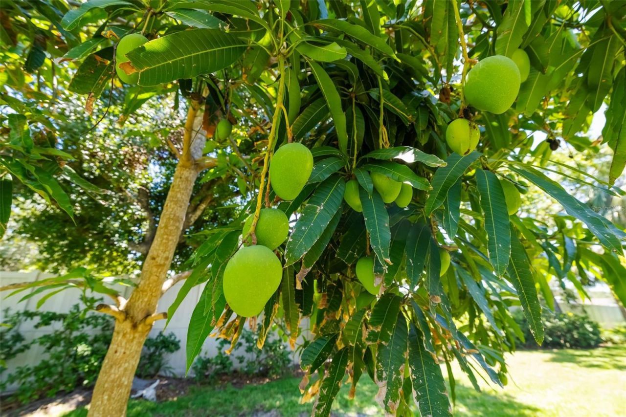 3988 Berlin Drive, Sarasota, FL 34233 Photo