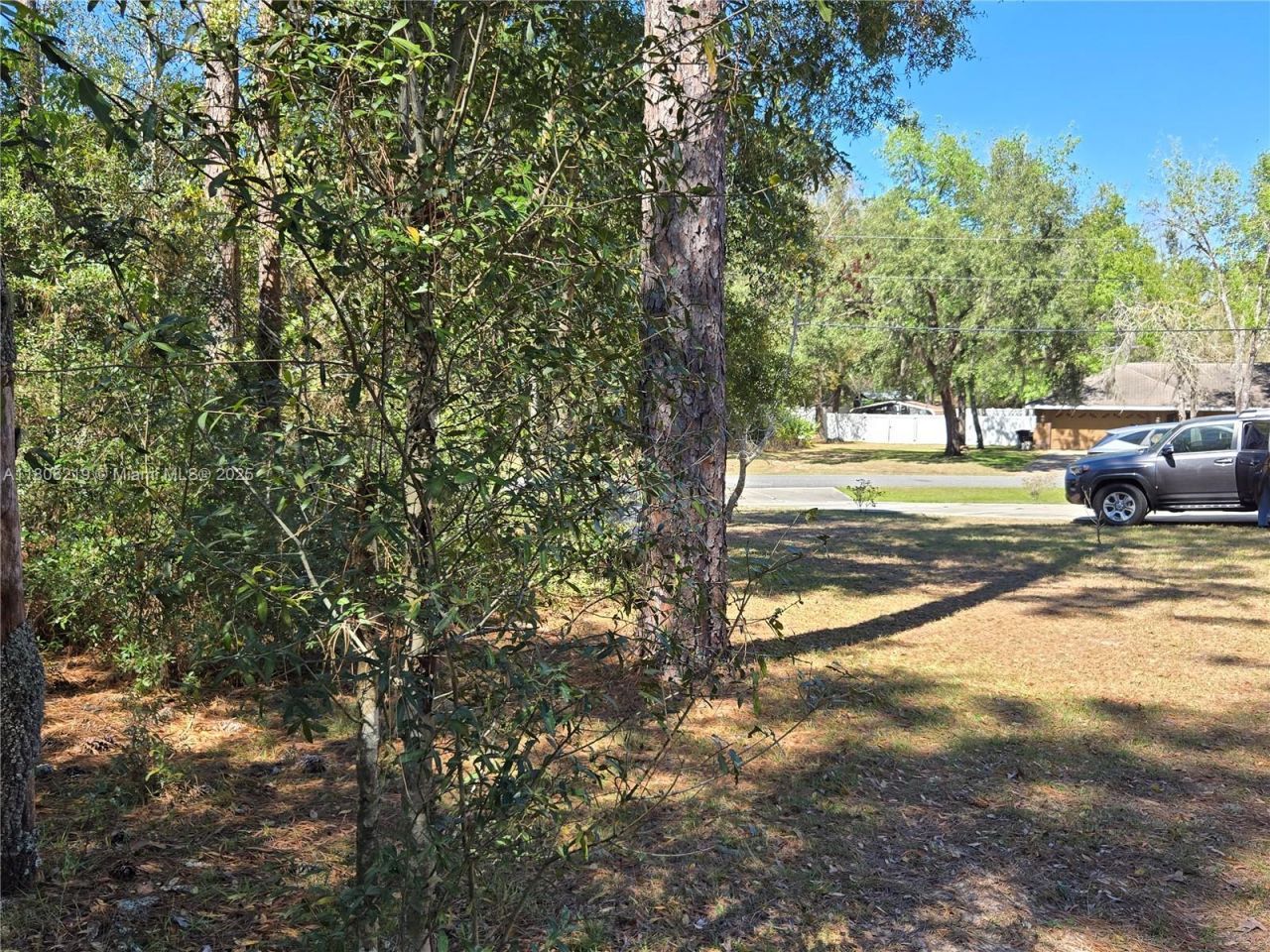 7206 N Glenridge Cir, Citrus Springs, FL 34434 Photo