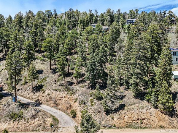 11618 Nichols Way, Conifer, CO 80433