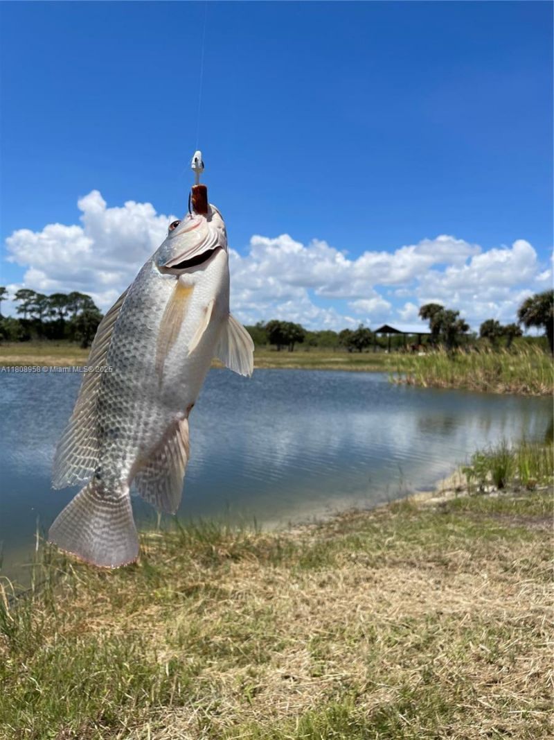 2105 86th Ave Sw, Vero Beach, FL 32966 Photo