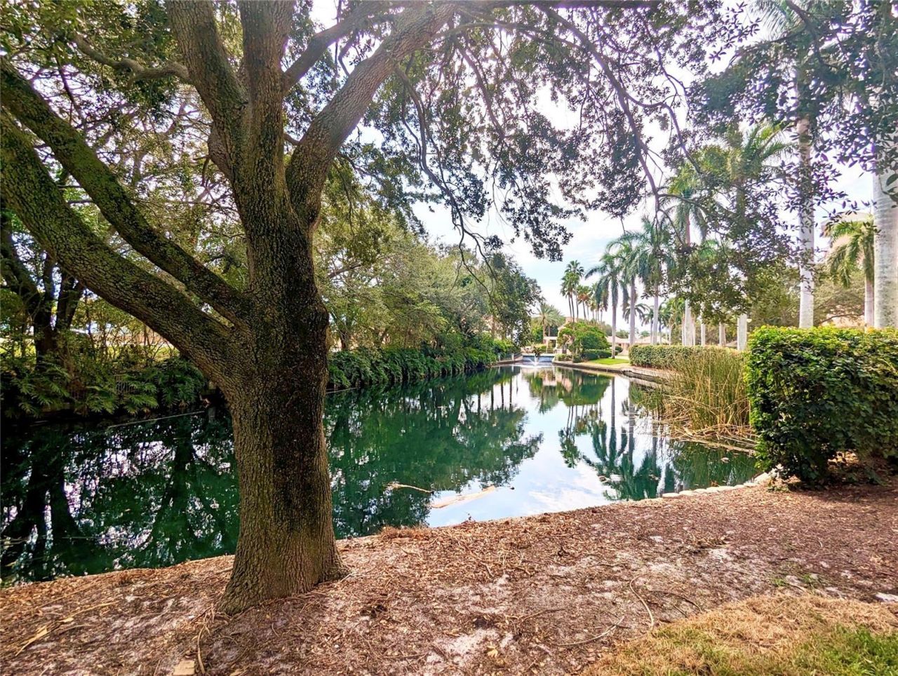4981 Bacopa Lane S, Unit 602, Saint Petersburg, FL 33715 Photo