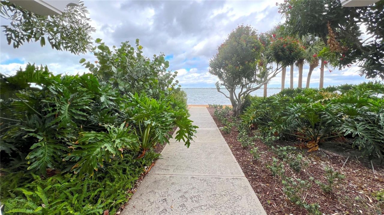 4981 Bacopa Lane S, Unit 602, Saint Petersburg, FL 33715 Photo