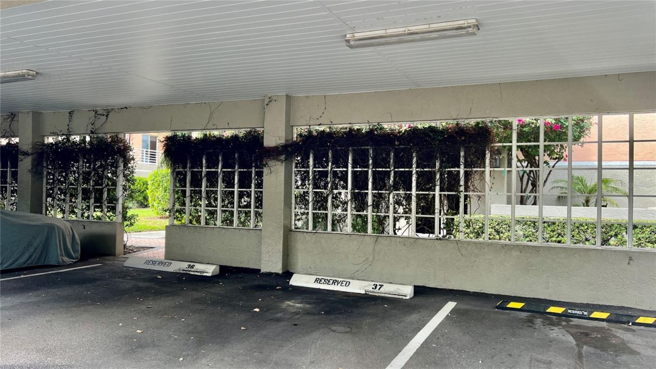 4981 Bacopa Lane S, Unit 602, Saint Petersburg, FL 33715 Photo