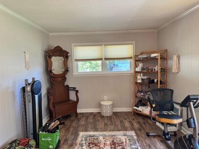 1339 Nightfall Lane Photo 22