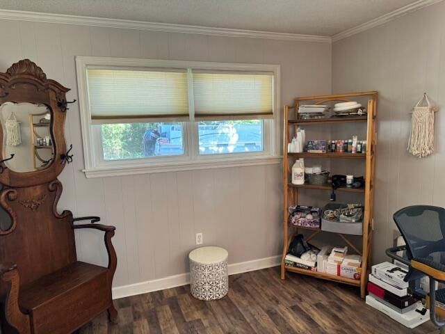 1339 Nightfall Lane Photo 24