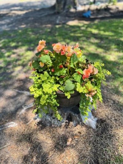 1339 Nightfall Lane Photo 55