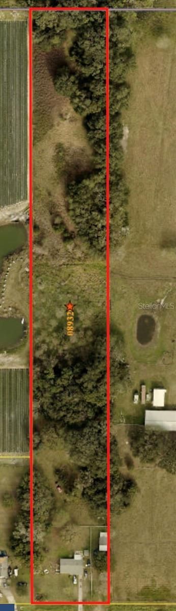 4316 E Knights Griffin Road, Plant City, FL 33565 Photo