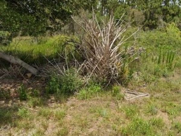 929 Grafton ST, LEHIGH ACRES, FL 33974