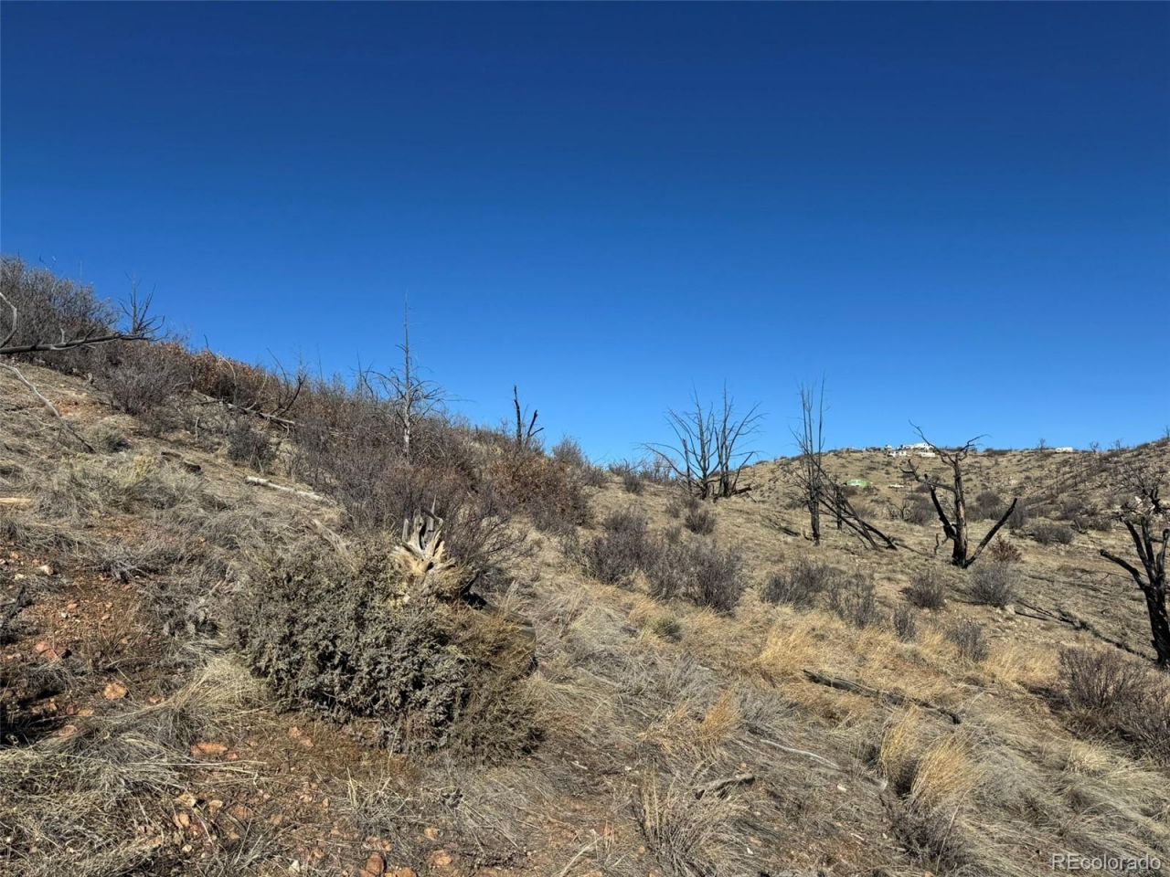 F Path And 37th Trail, Cotopaxi, CO 81223 Main Photo