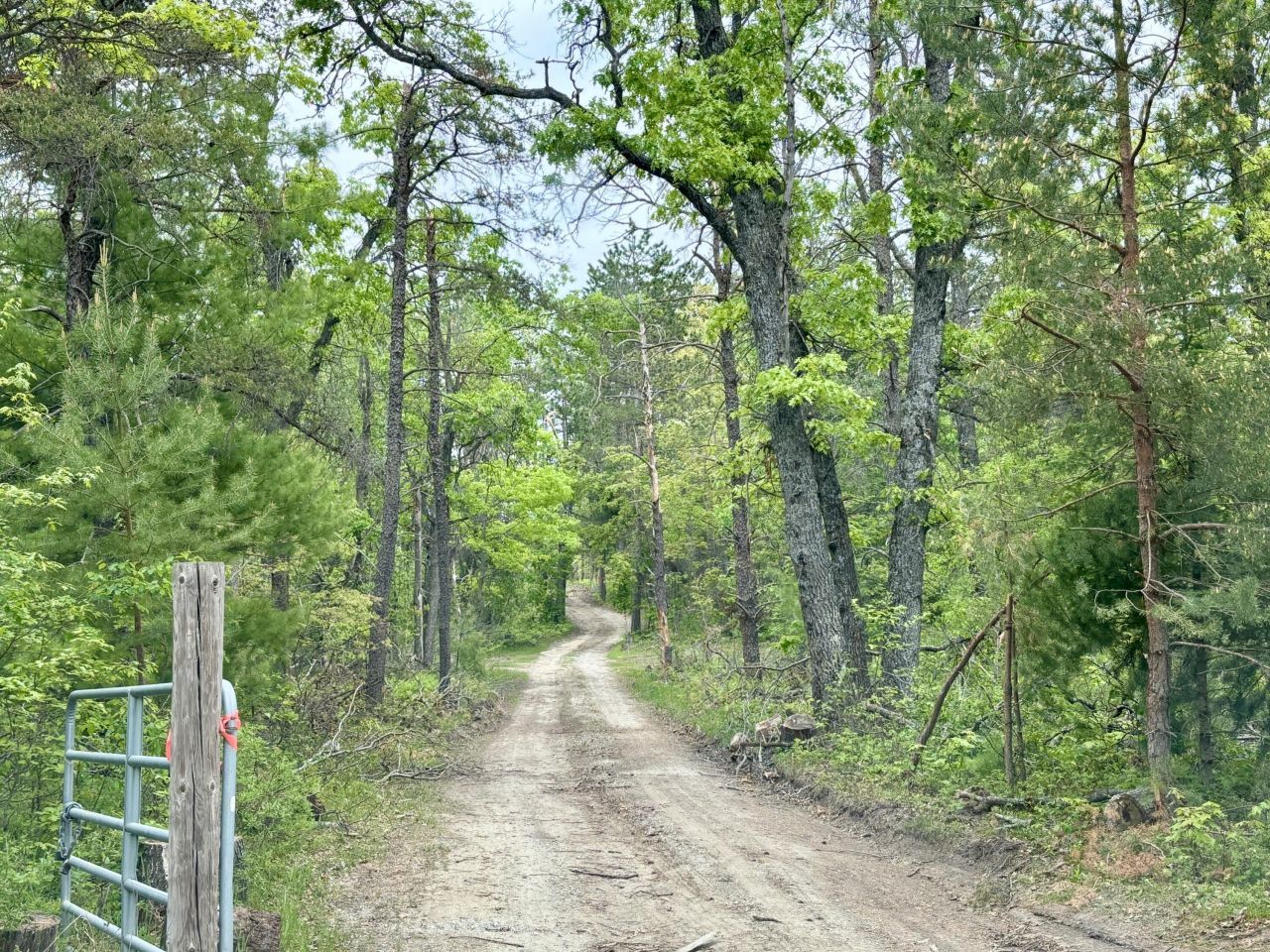 Parcel #c Townline Road, Lewiston, MI 49756 Main Photo