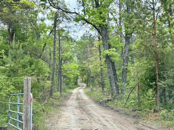 Parcel #E Townline Road, Lewiston, MI 49756