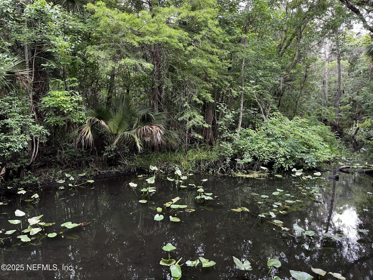 166 Mount Royal Avenue, Crescent City, FL 32112 Photo