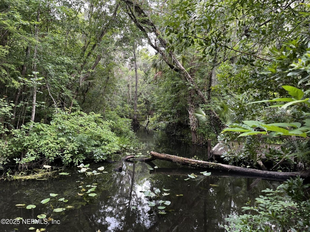 166 Mount Royal Avenue, Crescent City, FL 32112 Photo