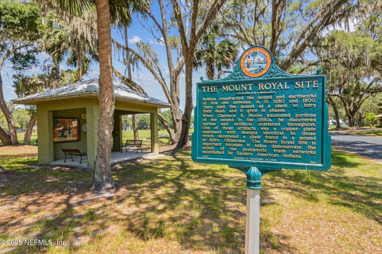 166 Mount Royal Avenue, Crescent City, FL 32112 Photo