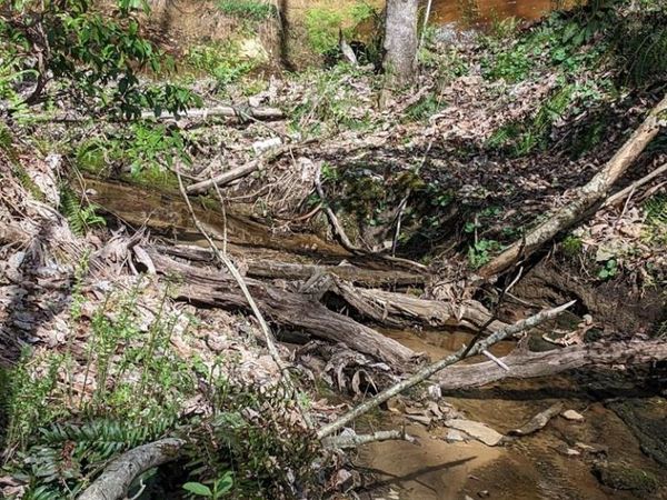 00 The Terrace, Crossville, TN 38555