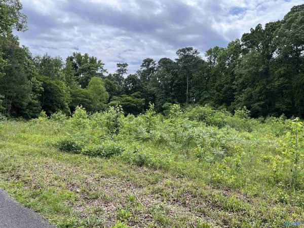 Lot #13 Country Cove Road, Crossville, AL 35962