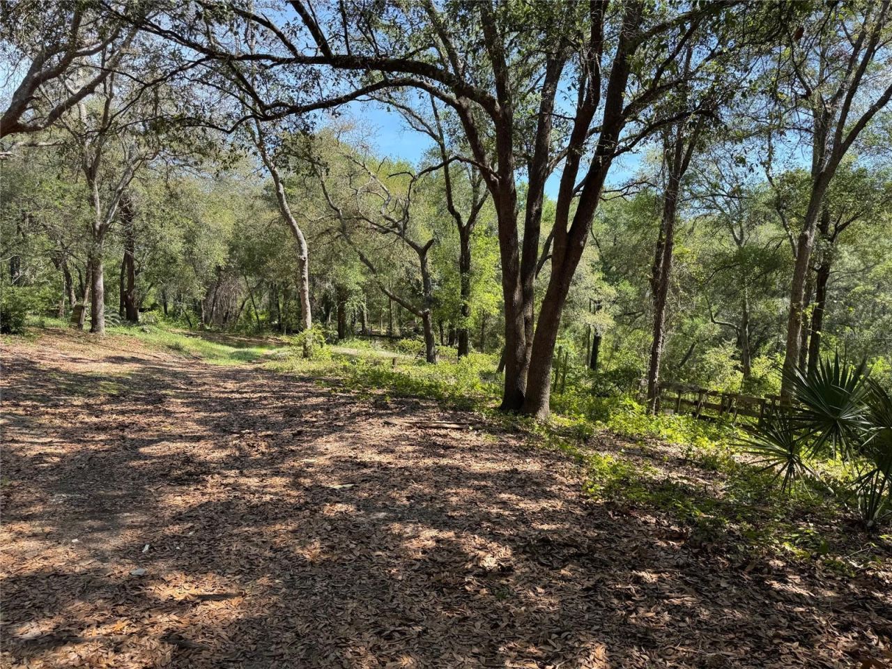 16137 SE 34th Place, Ocklawaha, FL 32179 Photo