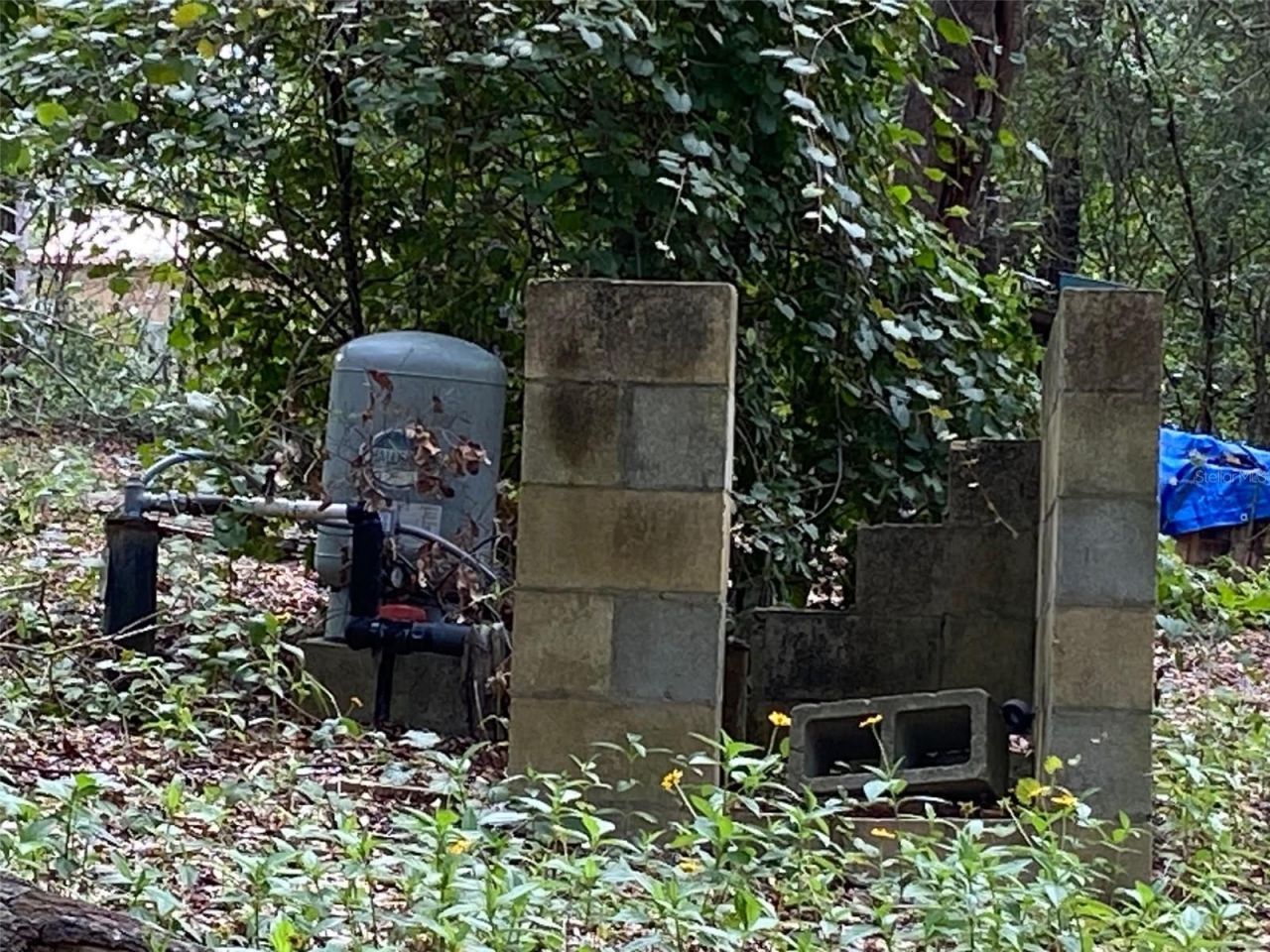 16137 SE 34th Place, Ocklawaha, FL 32179 Photo