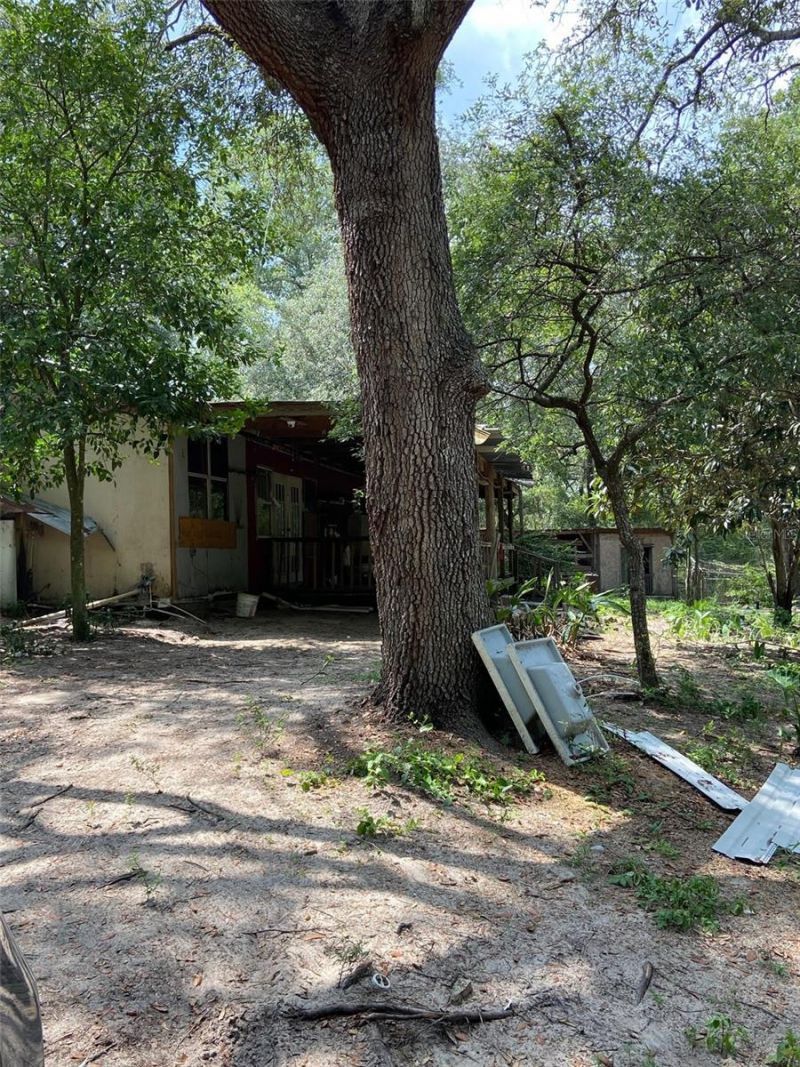 16137 SE 34th Place, Ocklawaha, FL 32179 Photo