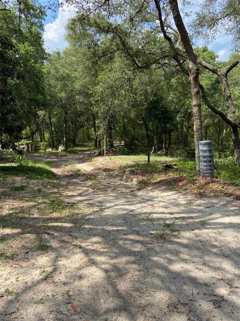 16137 SE 34th Place, Ocklawaha, FL 32179 Photo