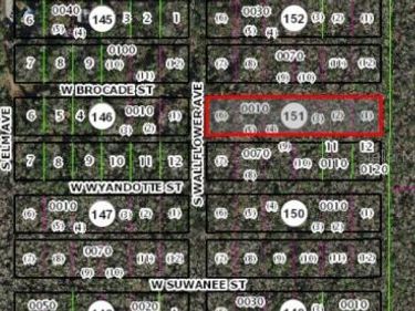 10006 W BROCADE STREET, HOMOSASSA, FL 34448