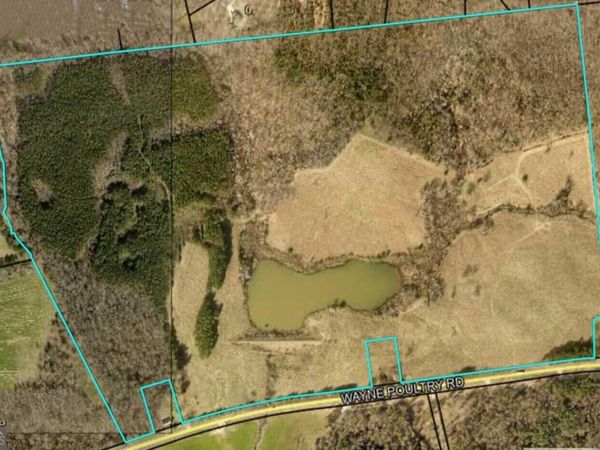 0 Wayne Poultry Road, Pendergrass, GA 30567