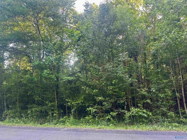 8 Creekside Lane, Arab, AL 35016