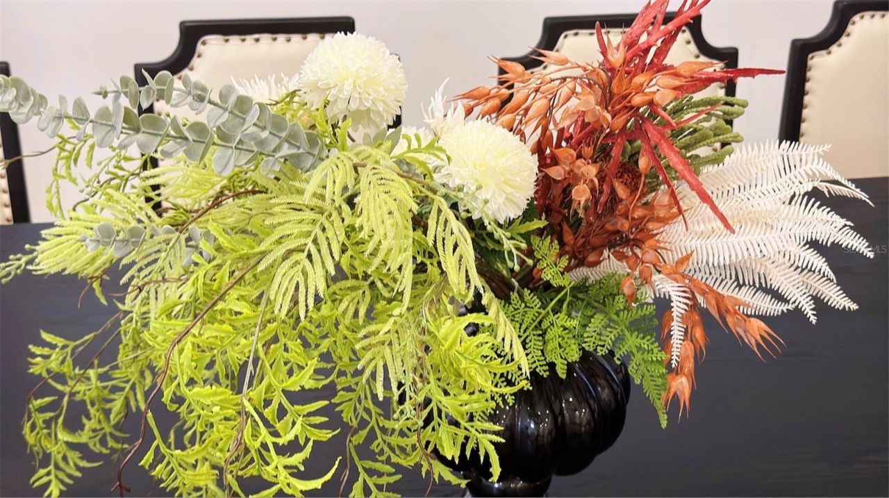 3880 Sonoma Boulevard, Kissimmee, FL 34741 Photo