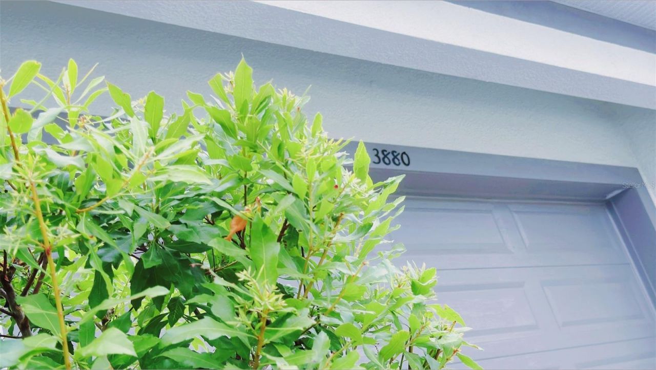 3880 Sonoma Boulevard, Kissimmee, FL 34741 Photo